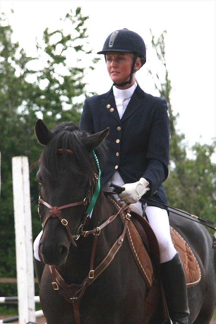 Anden særlig race Simply Gray (Sims) billede 15