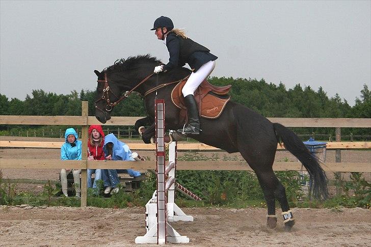 Anden særlig race Simply Gray (Sims) billede 17