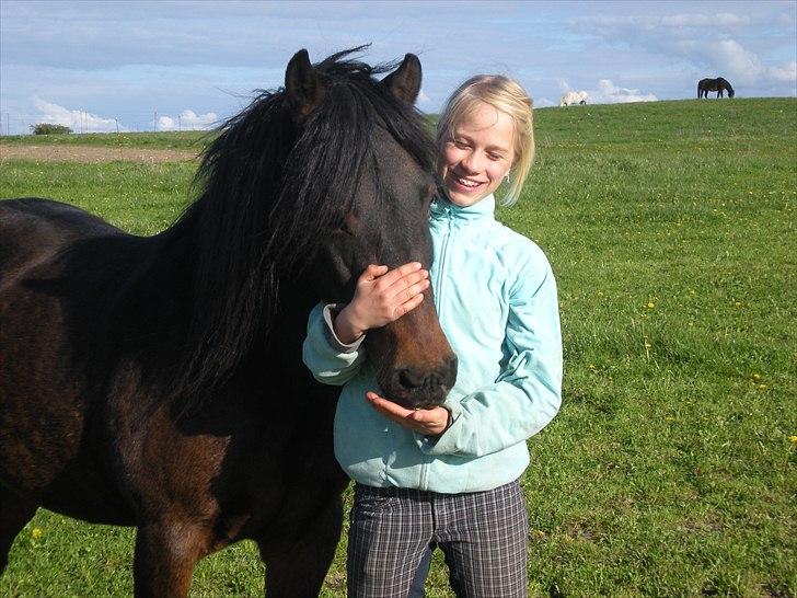 Anden særlig race Viktor (solgt) ;( - Ham den smukke<33 billede 20