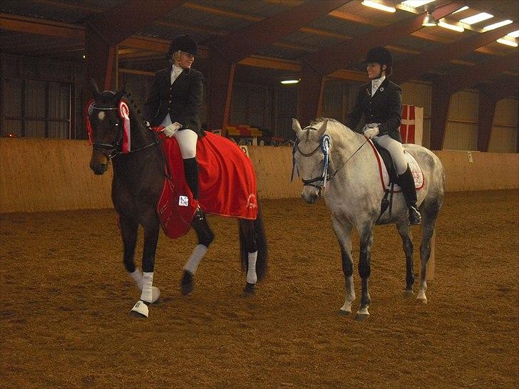 Trakehner Primaflora *Himmelhest* - Distriktsmesterskab YR Skive 2010 2. plac billede 11