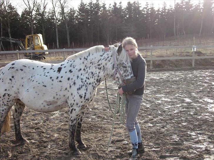 Knabstrupper Dina<3 - Jeg stoler på dig<3 Du stoler på mig<3 billede 5