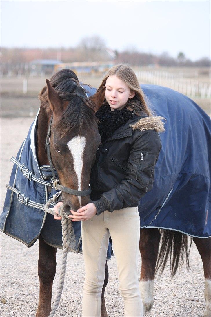 New Forest - Quark»||My Soulmate<3|| billede 3