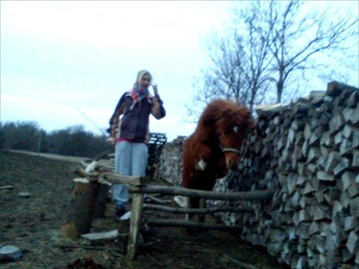 Anden særlig race Anemonne - elsker dig  billede 19