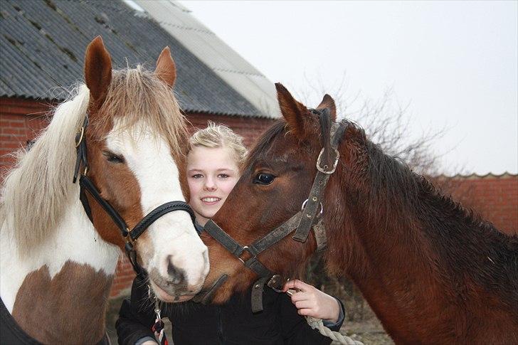 Anden særlig race Wupti - 9-10 måneder gammel. billede 5