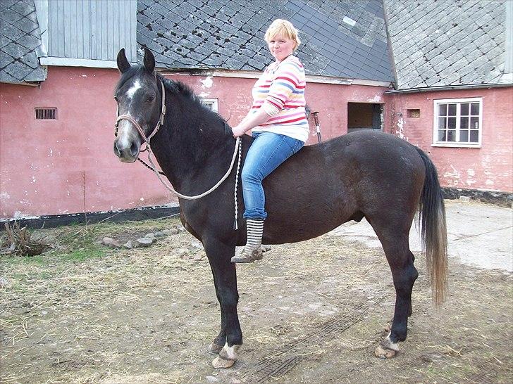 Anden særlig race  flik flak - jo han er helt styrebar i grime billede 8