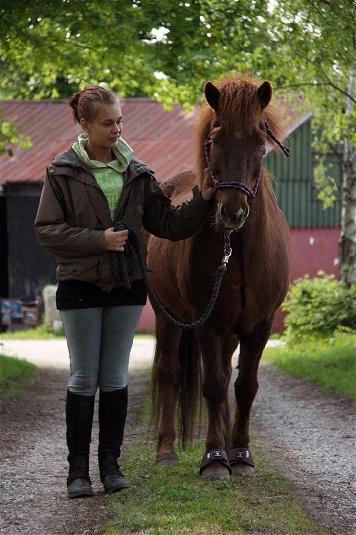 Islænder Birkir af Essendrup(Bubbi<3) xpart:( - A horse doesn't care how much you know until he knows how much you care. Foto: ECS billede 4