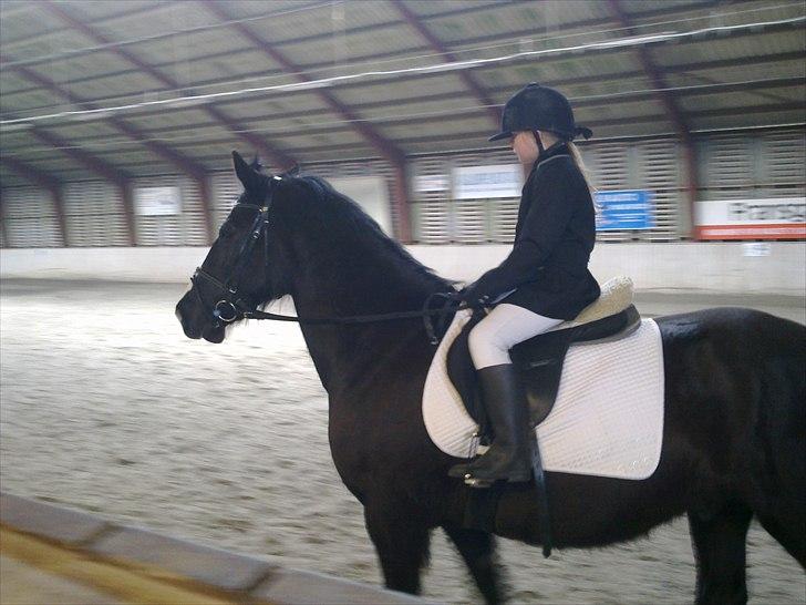 DSP Skovgårdens Sigma ( R.I.P) - Emma og Sigma til første stævne,RRKB.  delt 4. plads billede 9