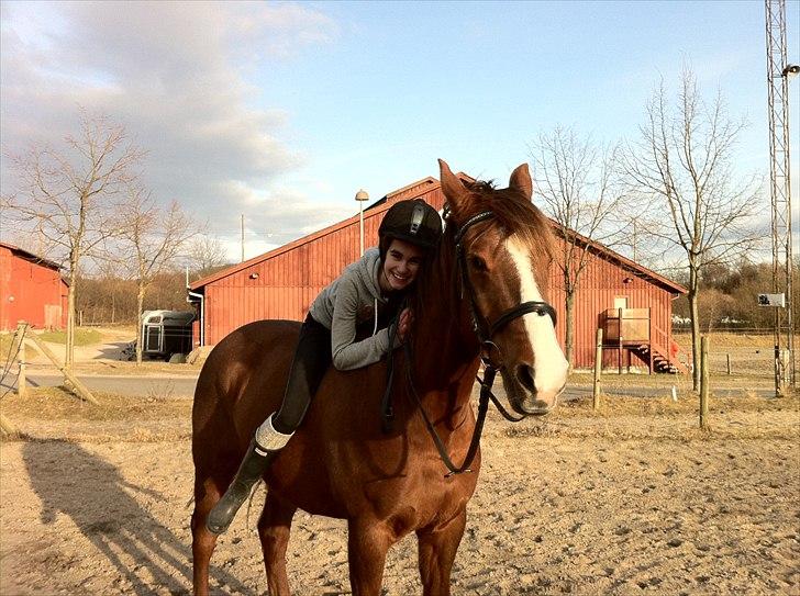 Anden særlig race Picasso - I love You <33 billede 2