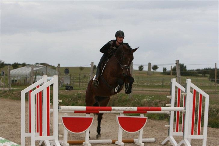 Holstener Canberra billede 13