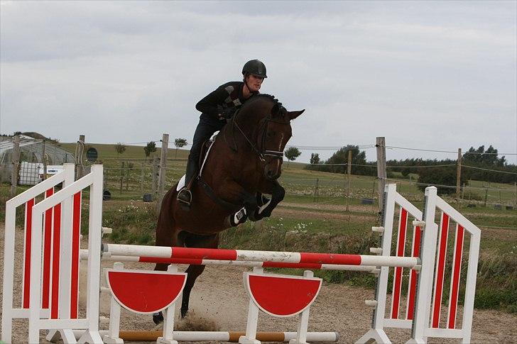 Holstener Canberra billede 15