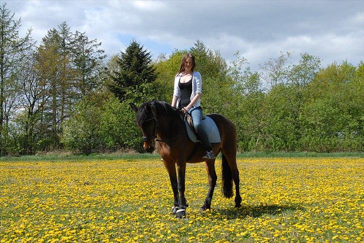Anden særlig race Josefine *Min Prinsesse* - 
'josefine og caroline foraltid!:-* billede 5