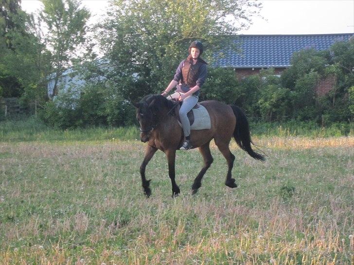 Anden særlig race Josefine *Min Prinsesse* - :-* billede 12