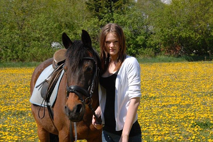Anden særlig race Josefine *Min Prinsesse* billede 10