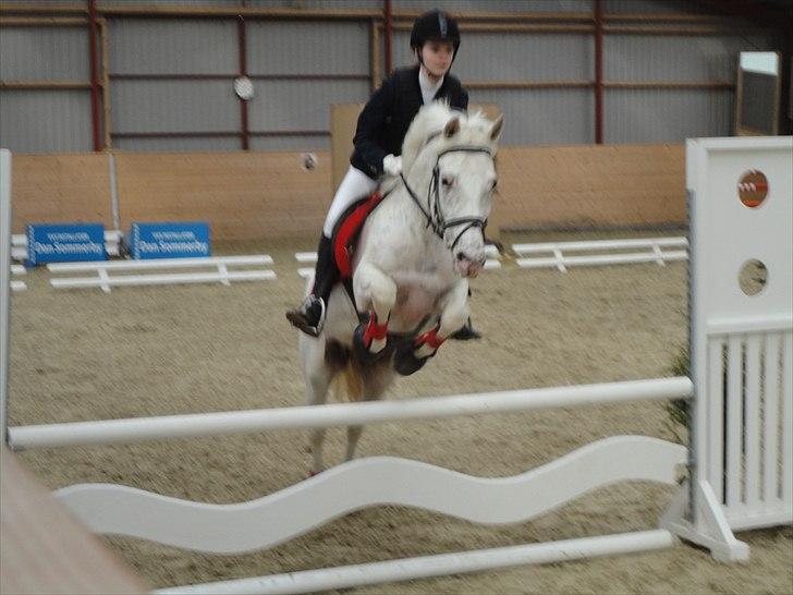 Knabstrupper Zeba ;D billede 12
