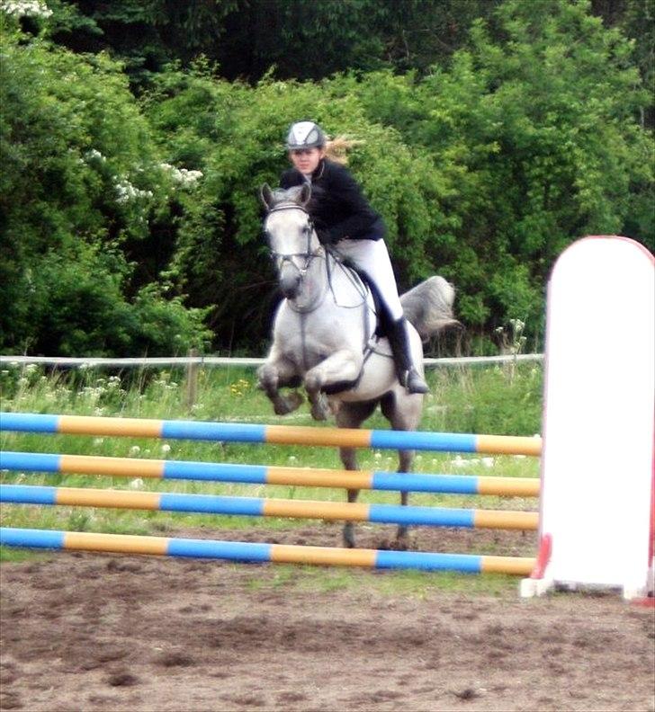 Arabisk fuldblod (OX) IS Anushka OX - Stævne d. 29/05 2011. Taget af Emma Friis Petersen :)! billede 16