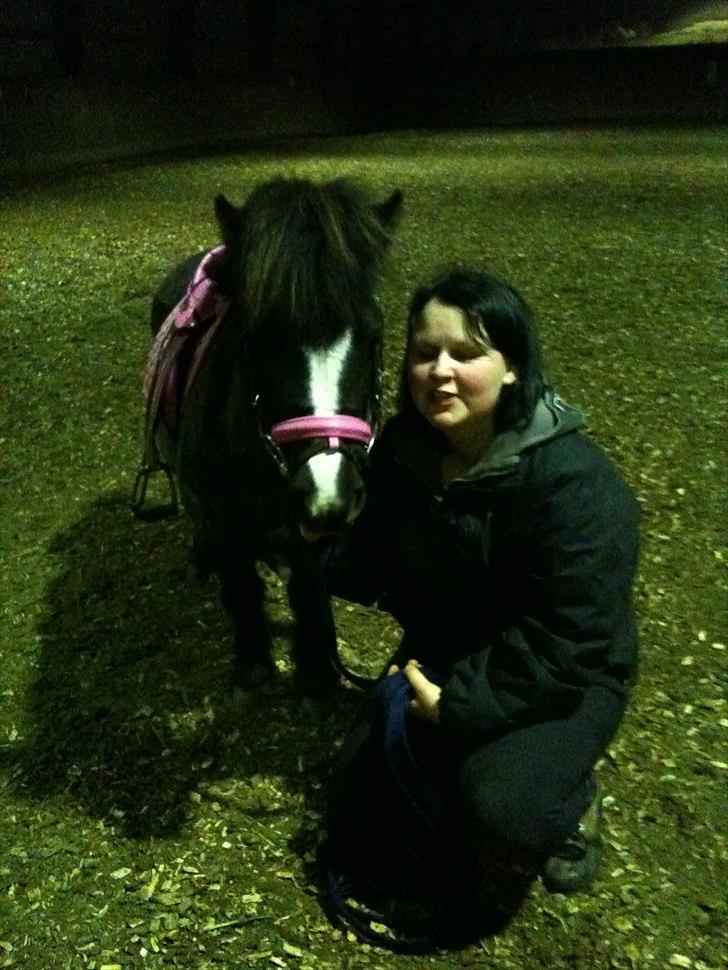 Shetlænder Bella - Bella og mig siger hej... billede 10