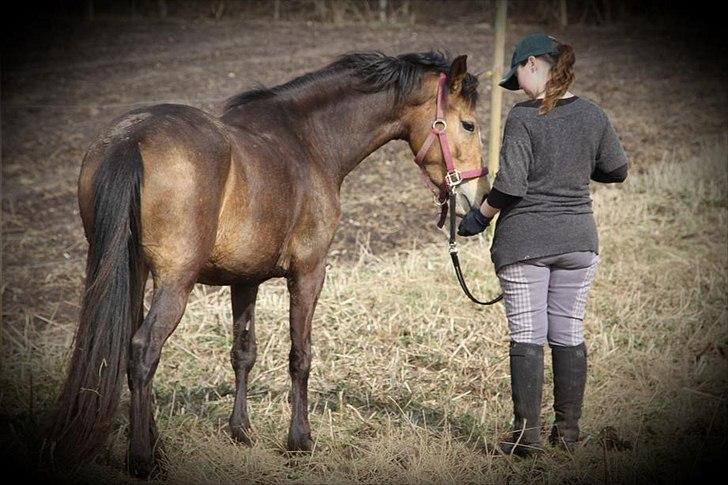 Anden særlig race Bjerrebogaards Candy billede 9