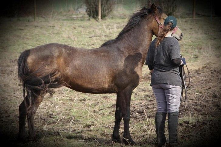 Anden særlig race Bjerrebogaards Candy billede 10