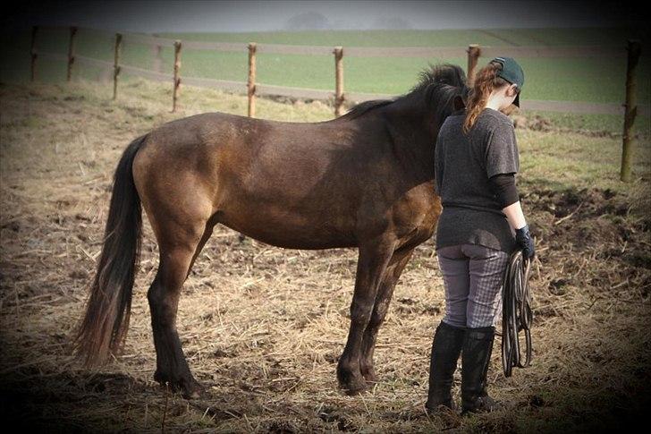 Anden særlig race Bjerrebogaards Candy billede 11