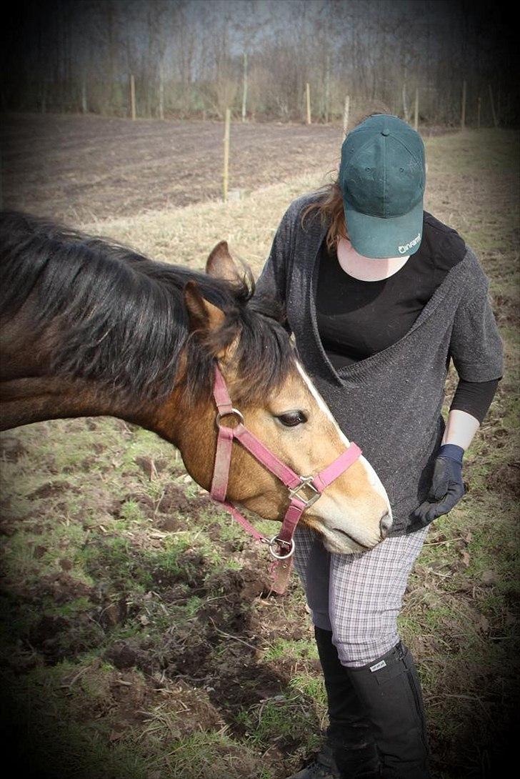 Anden særlig race Bjerrebogaards Candy billede 12