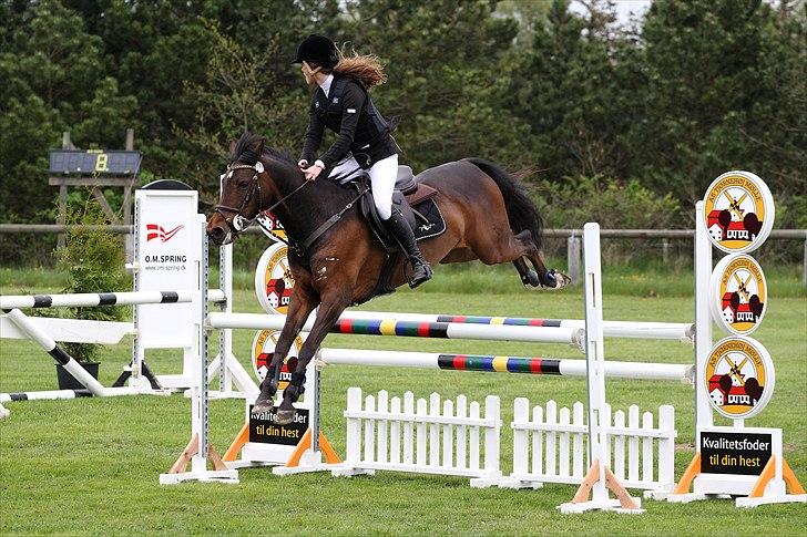 Tysk Sportspony Vivien *SOLGT :'( * billede 16