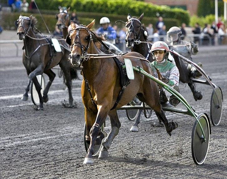 Traver Kanonis Lobell billede 10