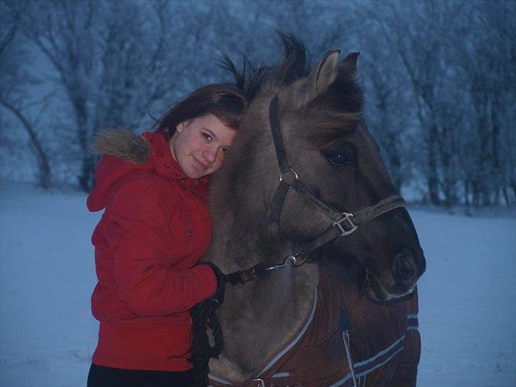 Konik Polski Charlie Am Tess ¤R.I.P¤ - MIT´LIV! billede 20
