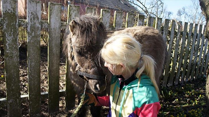 Anden særlig race Silver Chancé <3 R.I.P - Cecilie & Chance tager afsked billede 16