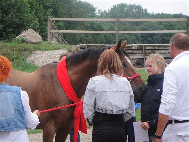 Anden særlig race Travelli<3 - Fødselsdag!:-* billede 14