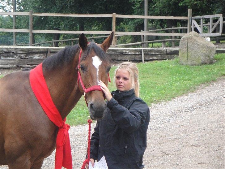 Anden særlig race Travelli<3 - Min dejlige basse mand:D - fødselsdag:d billede 16