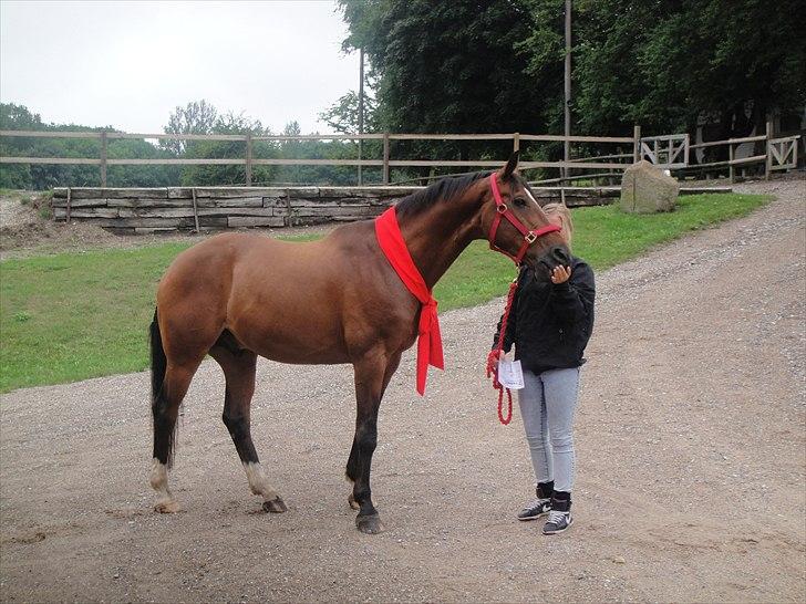 Anden særlig race Travelli<3 - elsker dig!:* (fødselsdag) billede 17