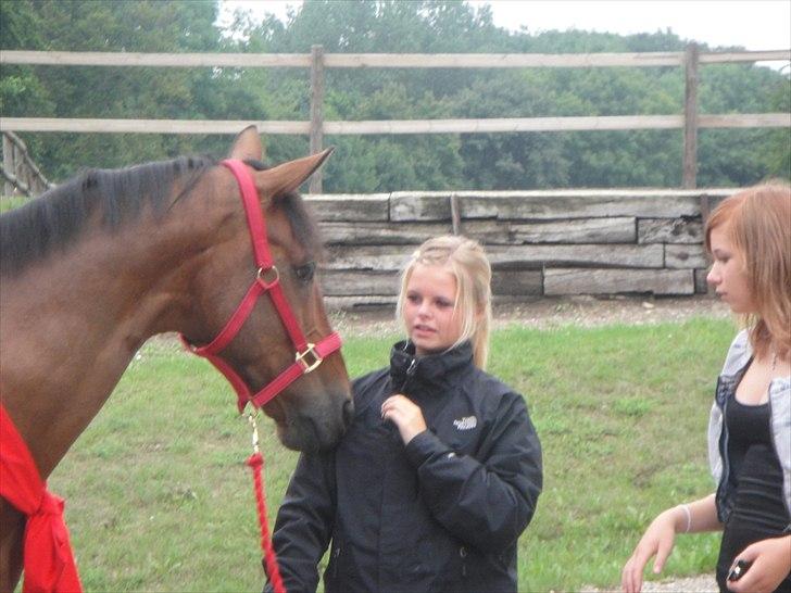 Anden særlig race Travelli<3 - duu duuufter goodt:D billede 19