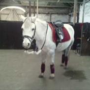 Anden særlig race Peter Pan <3