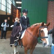 Anden særlig race sjors