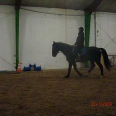 Oldenborg Brisano