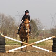 Anden særlig race Mario