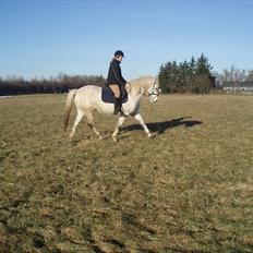 Connemara Birkely surprise 