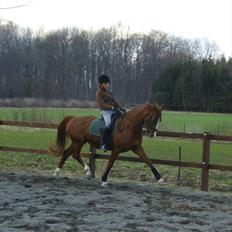 Frederiksborg Maisi Brentedal 