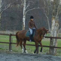 Frederiksborg Maisi Brentedal 