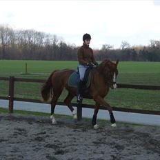 Frederiksborg Maisi Brentedal 