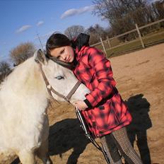 Welsh Pony (sec B) Josepigen`s Lotte