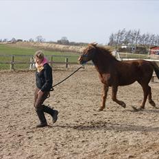Anden særlig race Sigurd min prins <3!