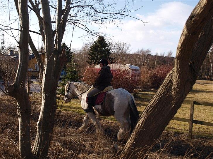 Tinker Blue Harley :) <3 R.I.P <3 - Nyder en dejlig skridt :) billede 20