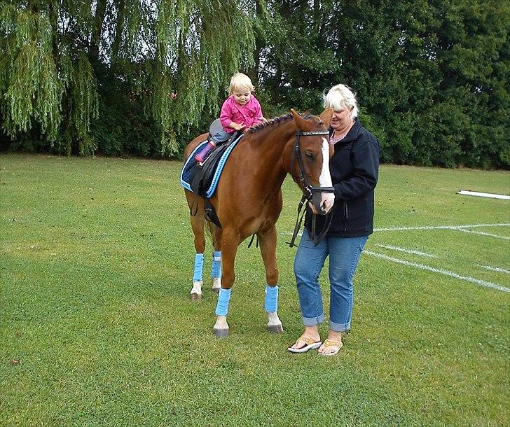 Tysk Sportspony Sultan <3  Solgt :'( - Emily på sin pony sultan:) billede 6