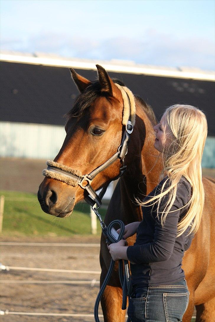 DSP Brandy - Du har lært mig så utrolig meget, på godt og på ondt vil du altid være i mit hjerte! <3 . Foto; Hanne Viola Pedersen. billede 15