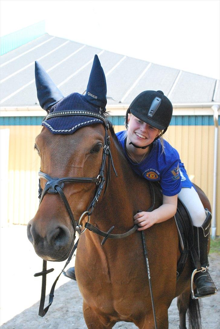 DSP Brandy - Babyhest! :D <3 . Foto; Anita Rasmussen billede 17