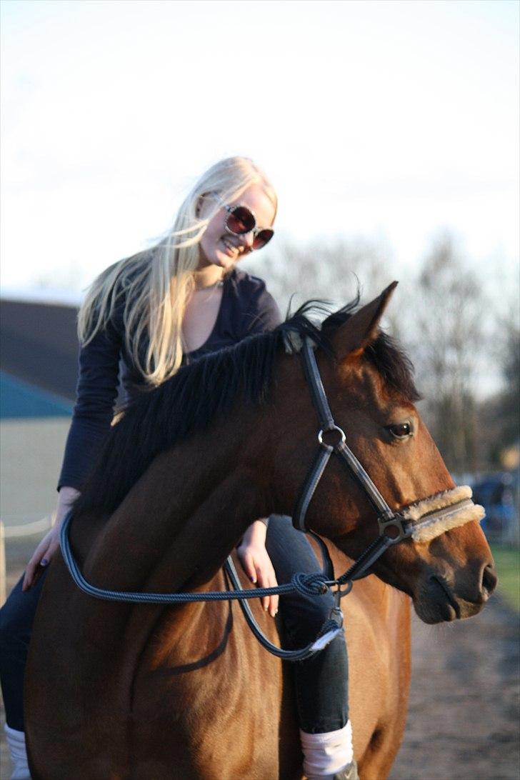 DSP Brandy - Verdens skønneste og allerhøjest elskede babypony! <3 . Foto; Hanne Viola Pedersen billede 18