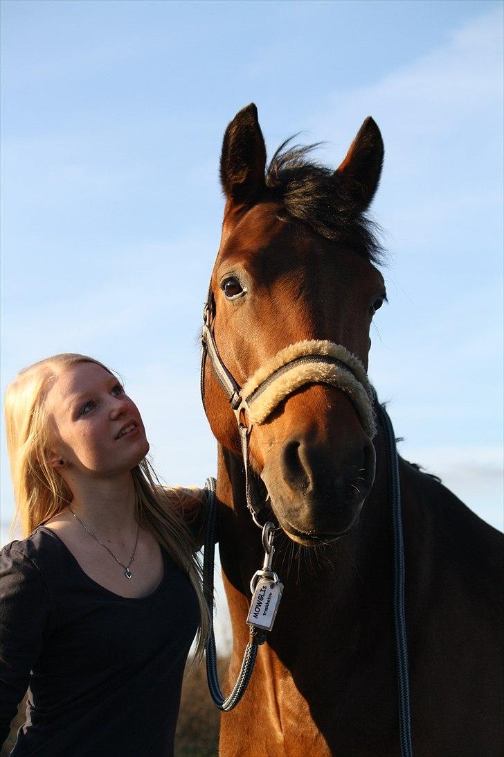 DSP Brandy - BABY! <3 Foto; Hanne Viola Pedersen billede 19