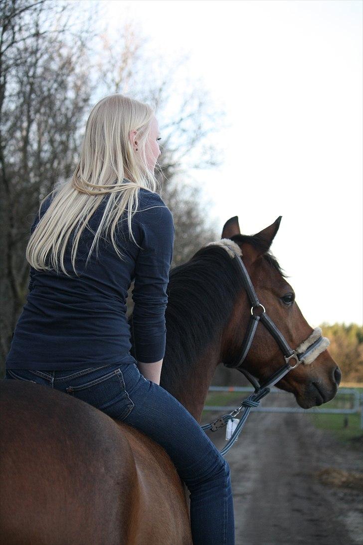 DSP Brandy - Farvel & tak for denne gang - smid gerne en kommentar og en bedømmelse (: . Foto; Hanne Viola Pedersen. billede 20