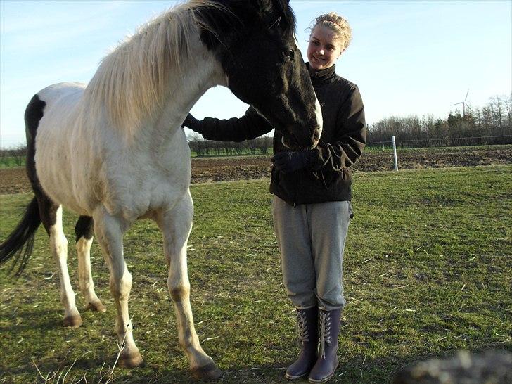 Paint Dixie - 8) billede 9